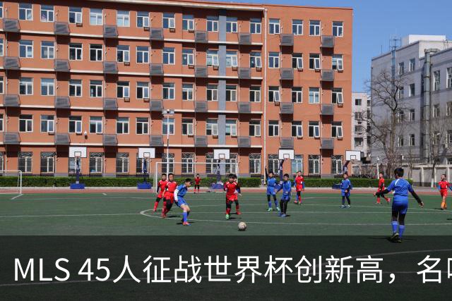 MLS 45人征战世界杯创新高，名嘴：它已成决赛最大赢家